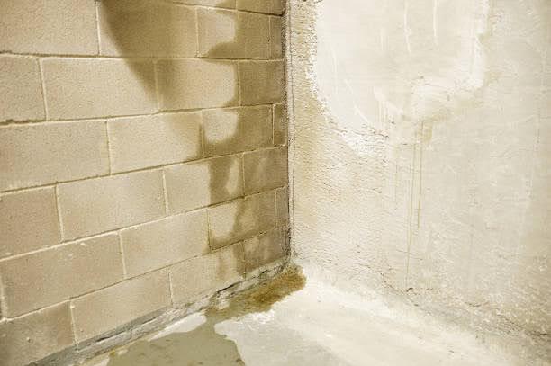 Basement Kings | How Can You Effectively Repair and Prevent Basement Leaks? Explore Solutions and Tips!